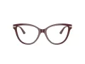 Jimmy Choo Naočare JC 3001B 5018
