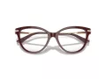Jimmy Choo Naočare JC 3001B 5018