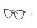 Jimmy Choo Naočare JC 3001B 5018