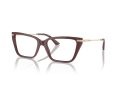 Jimmy Choo Naočare JC 3002B 5018