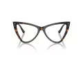 Jimmy Choo Naočare JC 3004B 5002