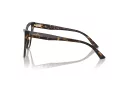Jimmy Choo Naočare JC 3004B 5002