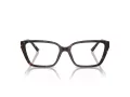 Jimmy Choo Naočare JC 3008 5002