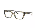 Jimmy Choo Naočare JC 3008 5004