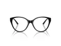 Jimmy Choo Naočare JC 3009 5000
