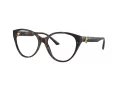 Jimmy Choo Naočare JC 3009 5002