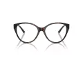 Jimmy Choo Naočare JC 3009 5002
