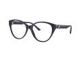 Jimmy Choo Naočare JC 3009 5016