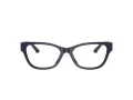 Jimmy Choo Naočare JC 3010U 5016