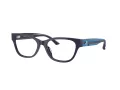 Jimmy Choo Naočare JC 3010U 5016