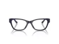 Jimmy Choo Naočare JC 3010U 5016