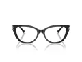 Jimmy Choo Naočare JC 3011 5000