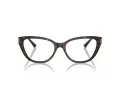 Jimmy Choo Naočare JC 3011 5002