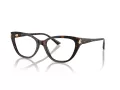 Jimmy Choo Naočare JC 3011 5002