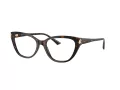 Jimmy Choo Naočare JC 3011 5002