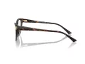 Jimmy Choo Naočare JC 3011 5002
