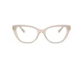 Jimmy Choo Naočare JC 3011 5025