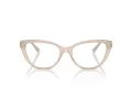 Jimmy Choo Naočare JC 3011 5025