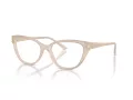 Jimmy Choo Naočare JC 3011 5025