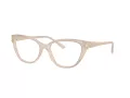Jimmy Choo Naočare JC 3011 5025