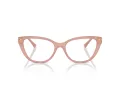 Jimmy Choo Naočare JC 3011 5027