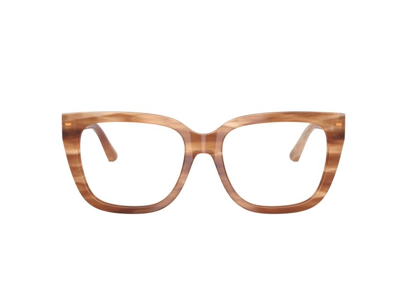 Jimmy Choo Naočare JC 3019B 5055