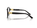 Jimmy Choo Naočare JC 3027 5000