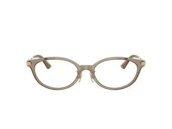 Jimmy Choo Naočare JC 3029D 5051