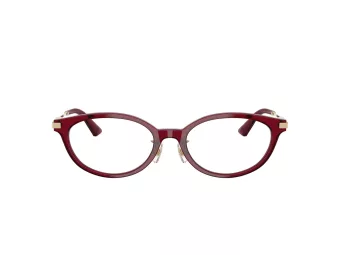 Jimmy Choo Naočare JC 3029D 5062