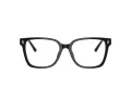 Jimmy Choo Naočare JC 3038D 5000