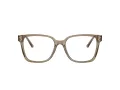 Jimmy Choo Naočare JC 3038D 5051