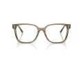 Jimmy Choo Naočare JC 3038D 5051