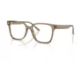 Jimmy Choo Naočare JC 3038D 5051