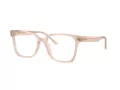 Jimmy Choo Naočare JC 3038D 5052