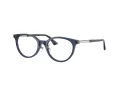 Jimmy Choo Naočare JC 3039D 5035