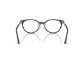 Jimmy Choo Naočare JC 3039D 5035