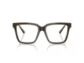 Jimmy Choo Naočare 3040U 5060
