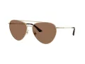 Jimmy Choo Naočare za sunce JC 4002B 301773