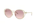 Jimmy Choo Naočare za sunce JC 4003HB 300668