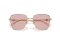 Jimmy Choo Naočare za sunce JC 4005HB 3006/5