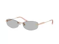 Jimmy Choo Naočare za sunce JC 4013D 300887