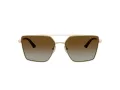 Jimmy Choo Naočare za sunce JC 4016HB 3006T5