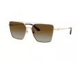 Jimmy Choo Naočare za sunce JC 4016HB 3006T5