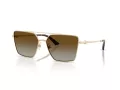 Jimmy Choo Naočare za sunce JC 4016HB 3006T5