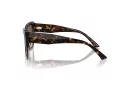 Jimmy Choo Naočare za sunce JC 5001B 500213