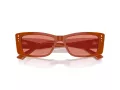 Jimmy Choo Naočare za sunce JC 5002BU 501084