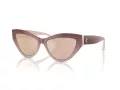 Jimmy Choo Naočare za sunce JC 5004 5047/Z