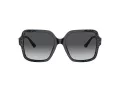 Jimmy Choo Naočare za sunce JC 5005 5041T3