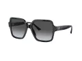 Jimmy Choo Naočare za sunce JC 5005 5041T3