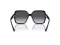 Jimmy Choo Naočare za sunce JC 5005 5041T3